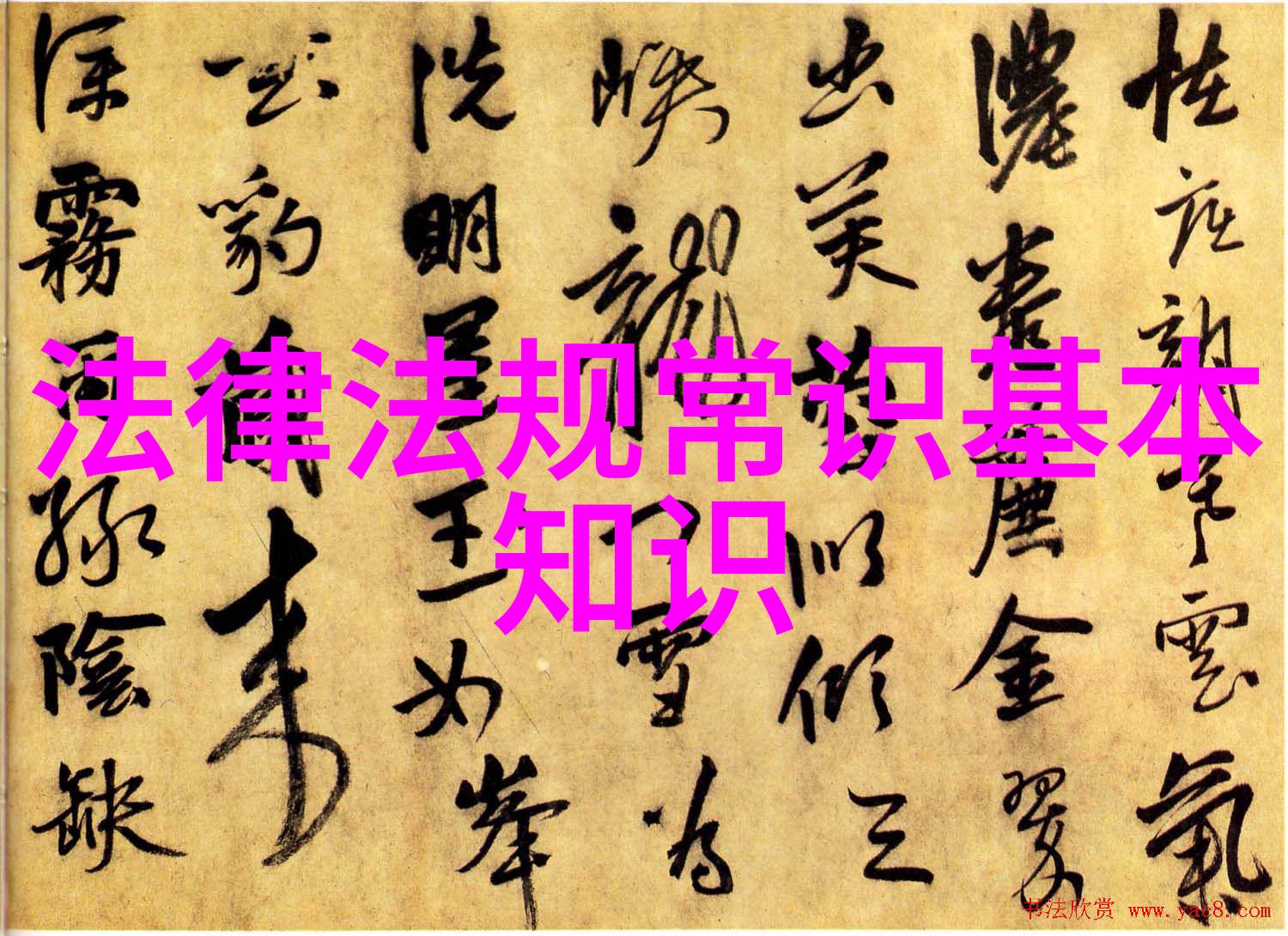 半自动电汽两用菌种灭菌锅